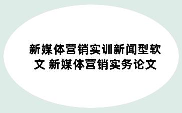 新媒体营销实训新闻型软文 新媒体营销实务论文